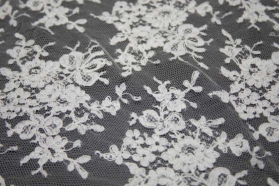 The Best French Leavers Allover Off-White Alençon Lace