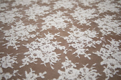 The Best French Leavers Allover Off-White Alençon Lace