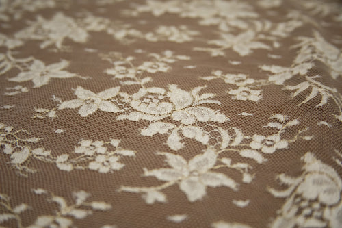 Floral Lace with Beige/Gold Metallic, Made in France
